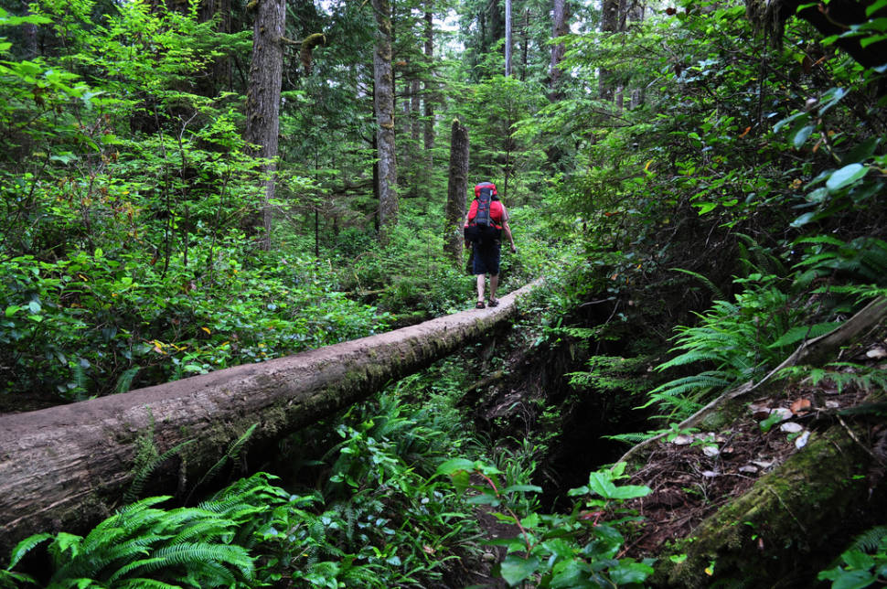 West Coast Trail in British Columbia - Best Season