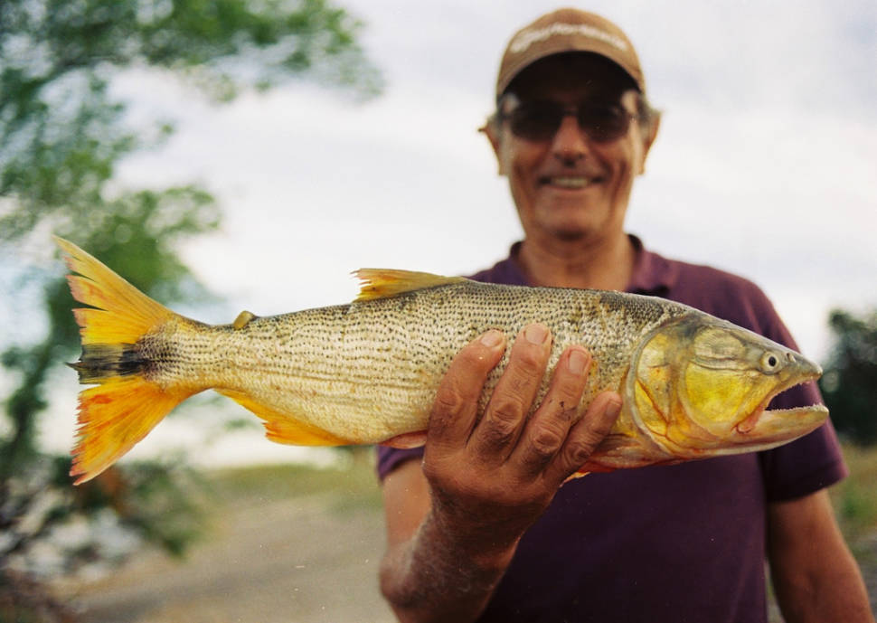Fishing (Angling) in Buenos Aires Lagoons in Buenos Aires - Best Time