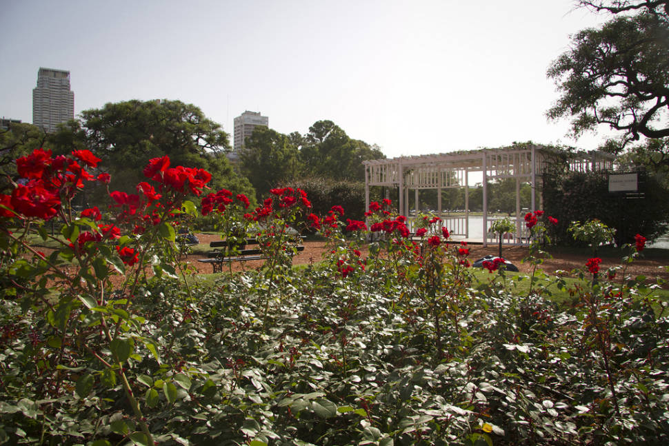Rosedal de Buenos Aires