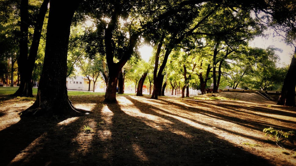 Parks in Summer in Buenos Aires - Best Season