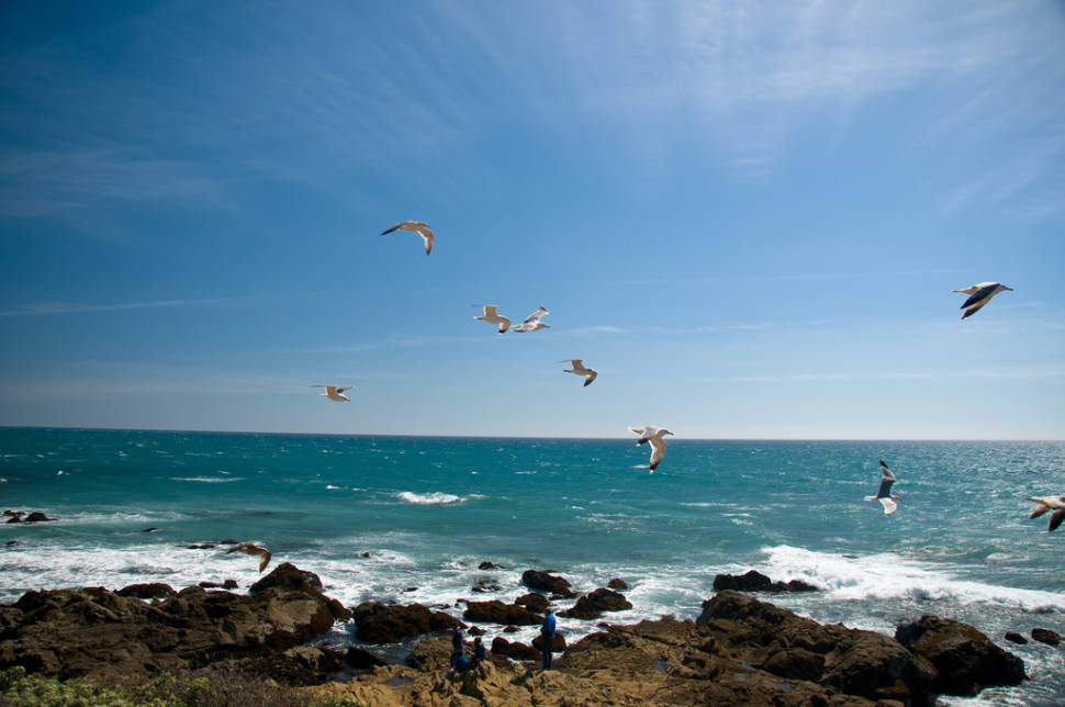 Moonstone Beach