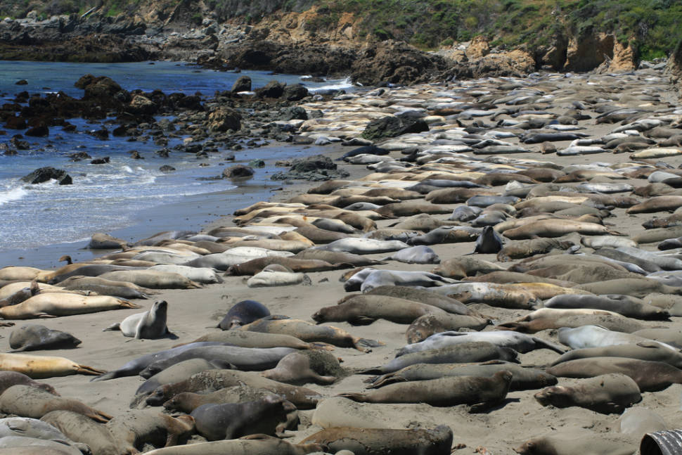 Crowded beach
