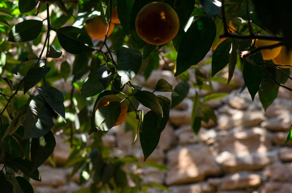 Best time for Forestiere Underground Gardens in California