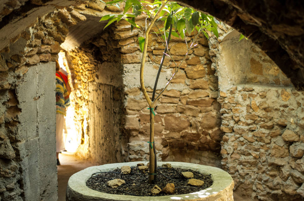 Forestiere Underground Gardens in California - Best Season