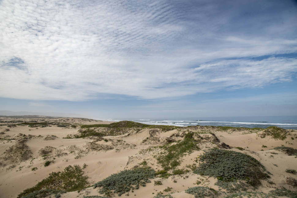 Best time to see Guadalupe-Nipomo Dunes in California