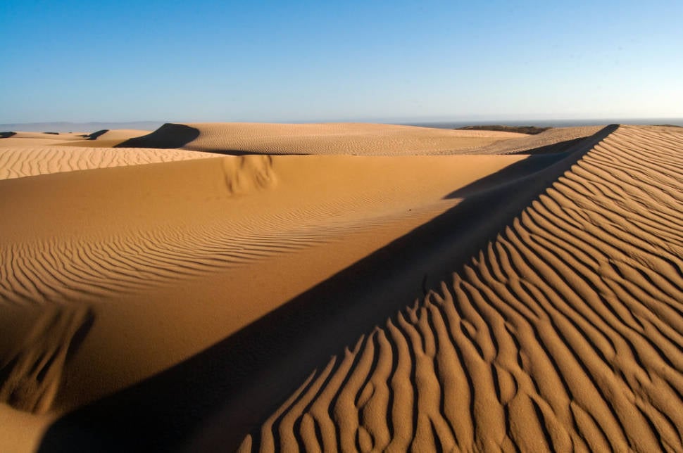 Best time for Guadalupe-Nipomo Dunes in California