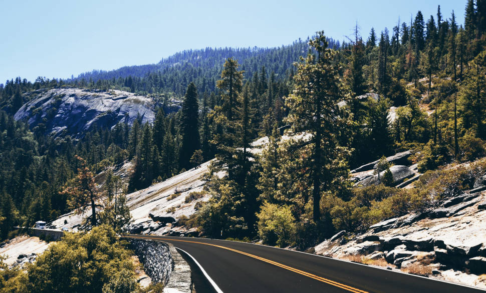 The road of Yosemite National Park