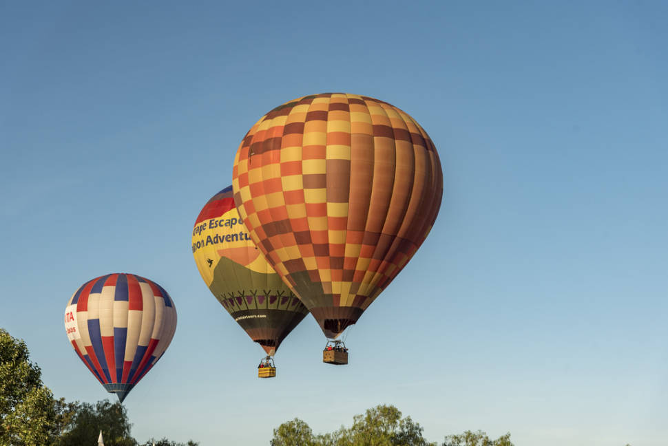Best time to see Temecula Valley Balloon & Wine Festival in California