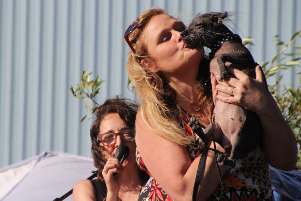 Best time for World's Ugliest Dog Contest in California