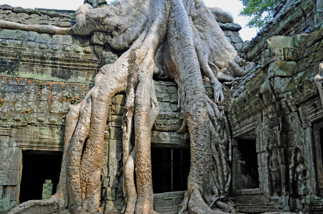 Ta Prohm