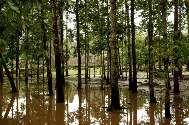 Best time for Angkor Jungles and Temples in Cambodia