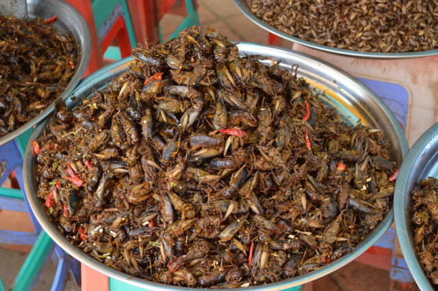 Eat Some Bugs! in Cambodia - Best Season