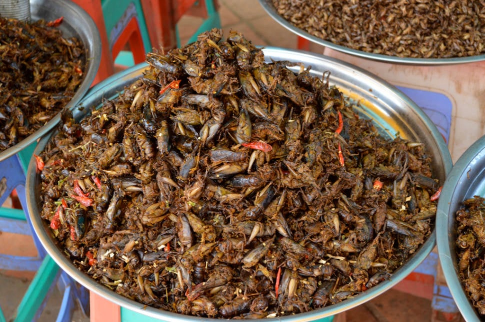 Eat Some Bugs! in Cambodia - Best Season