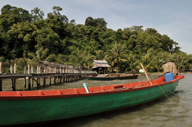 Best time for Explore Wildlife in the Ream National Park in Cambodia