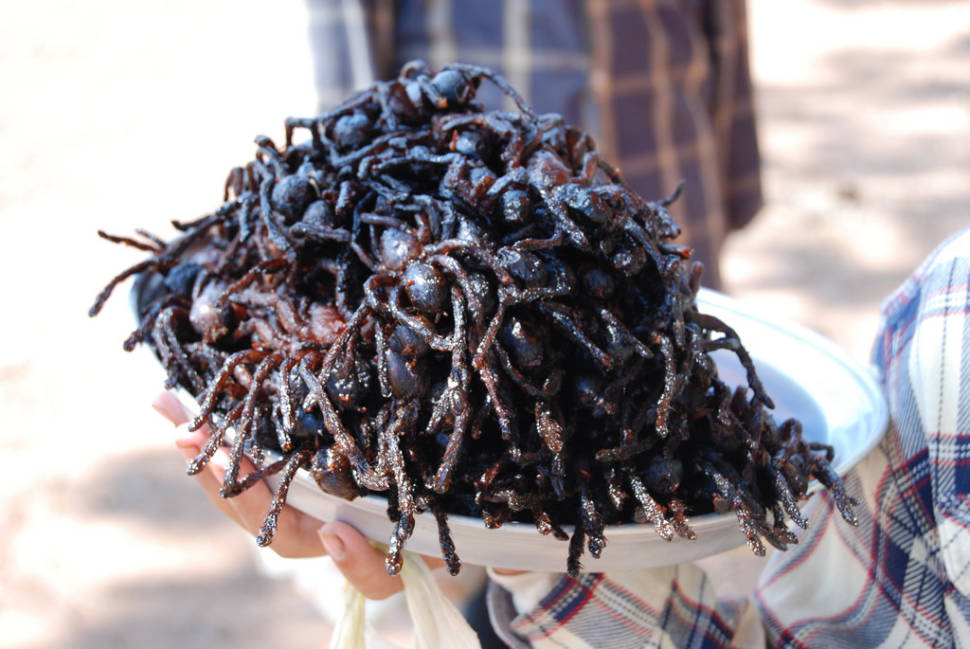 Fried Spiders in Cambodia - Best Season