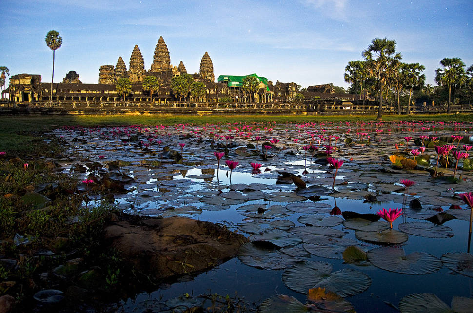 Lotus Blooming in Cambodia - Best Time