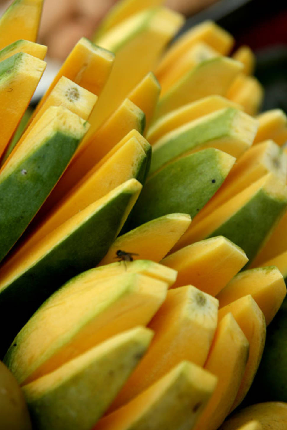 Best time for Mango Season in Cambodia