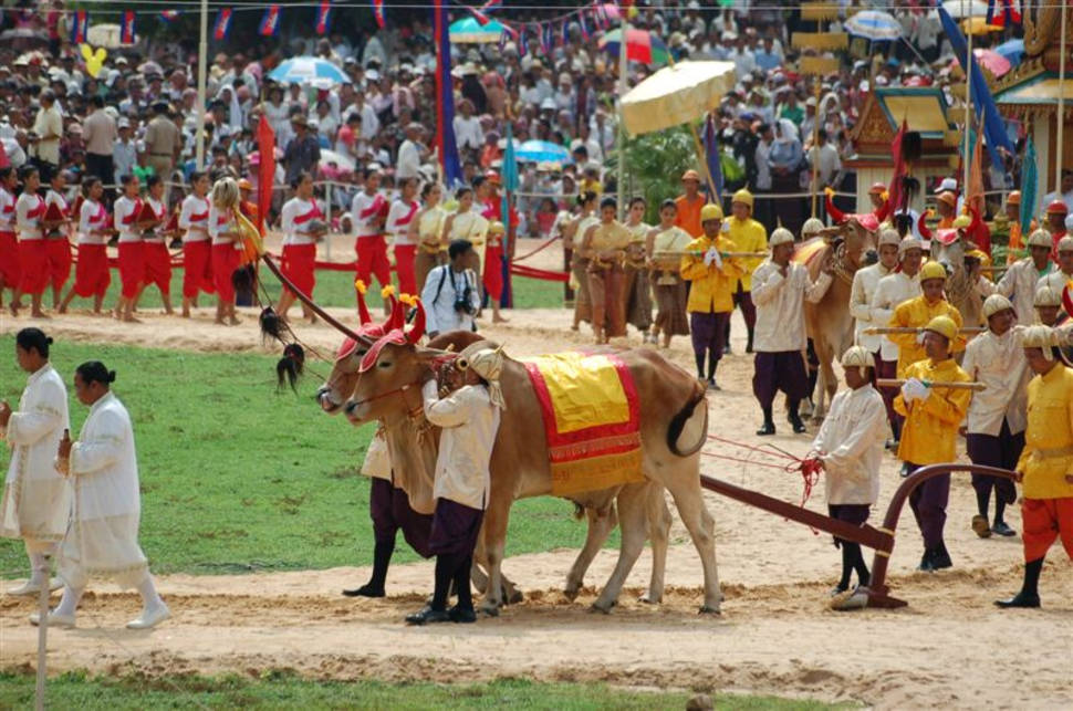 Royal Ploughing Day in Cambodia - Best Time