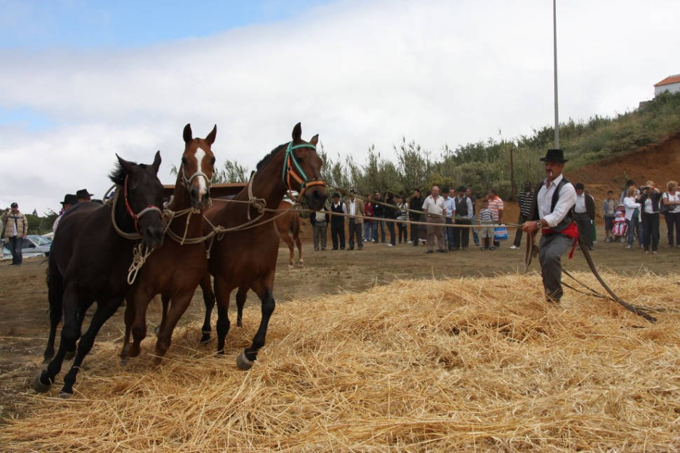 Dia de la Trilla in Canary Islands - Best Time