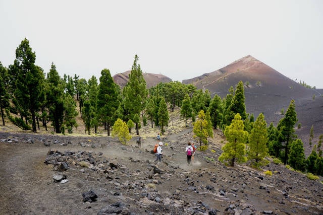 La Palma Trekking – Ruta de los Volcanes