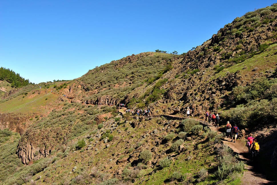 Best time for Walking Festivals in Canary Islands