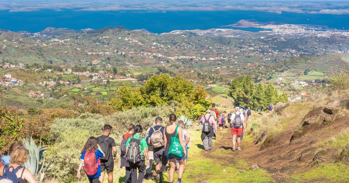 Walking Festivals in Canary Islands - Best Time