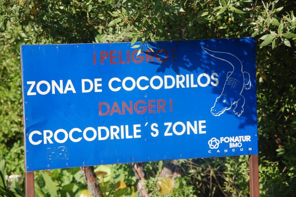 Best time for Crocodiles
