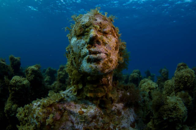 Diving and Snorkelling in Cancun - Best Season