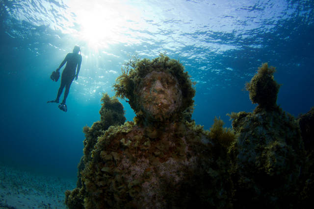 Diving and Snorkelling in Cancun - Best Time