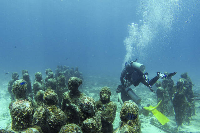 Best time for Diving and Snorkelling in Cancun
