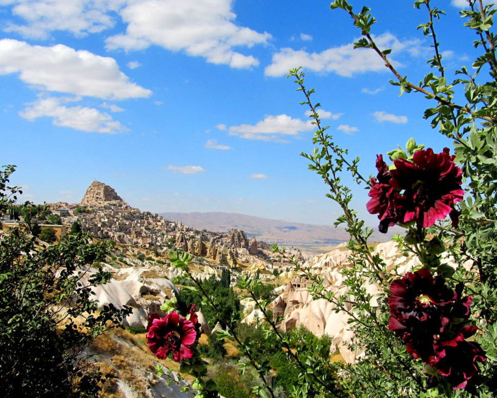 Spring Flowers in Goreme in Cappadocia - Best Time