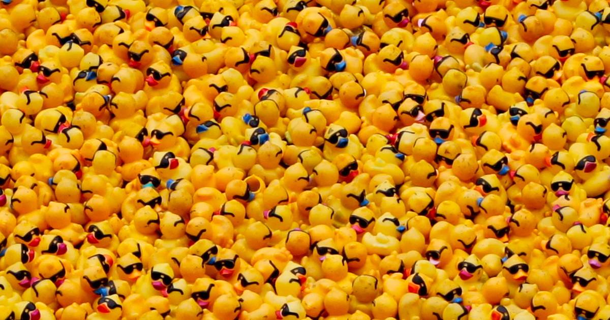 Rubber Ducky Race in Chicago - Best Time