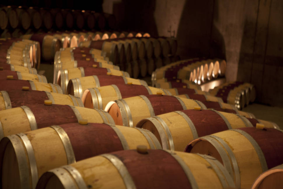 Best time to see Grape Harvest in Chile