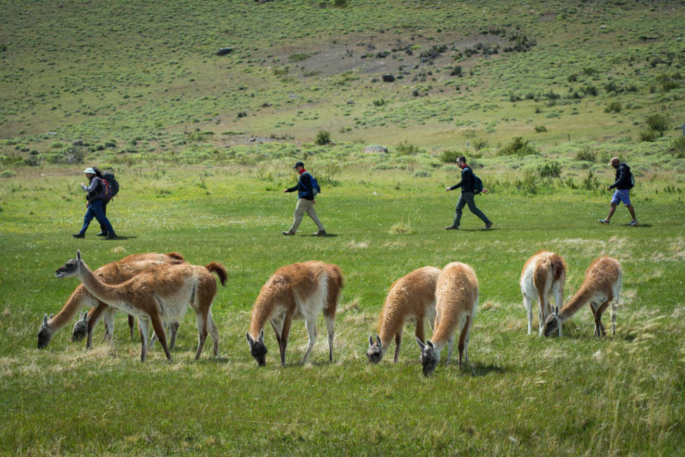 Best time to see Hiking in Patagonia in Chile