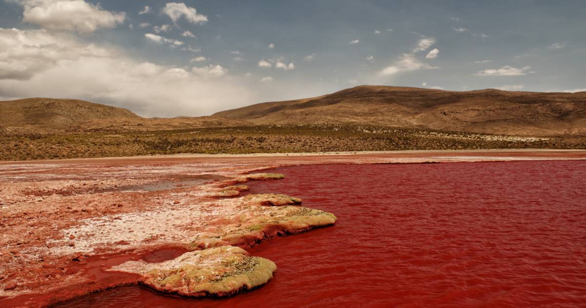 Laguna Roja or Devil's Lagoon in Chile - Best Time