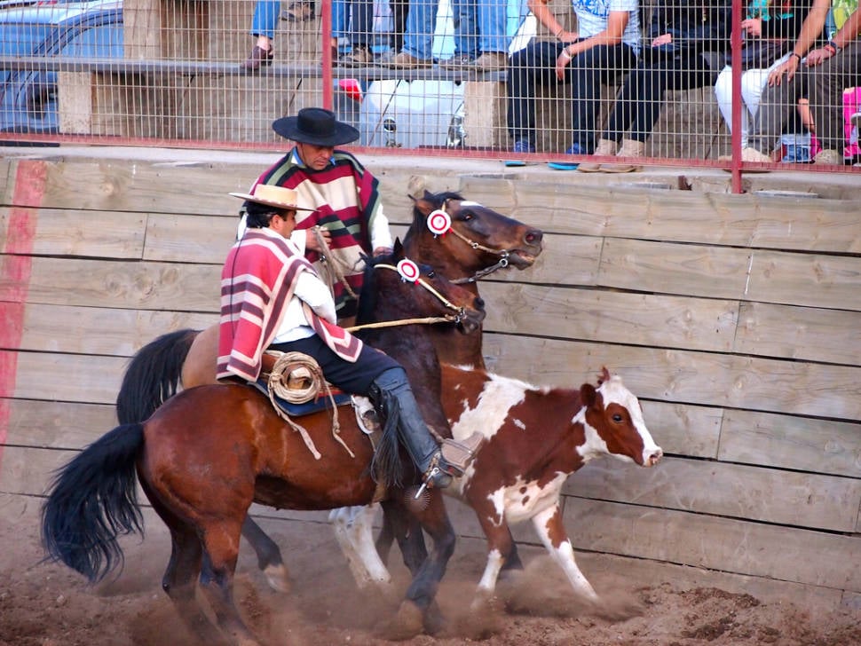 Rodeo in Chile - Best Time