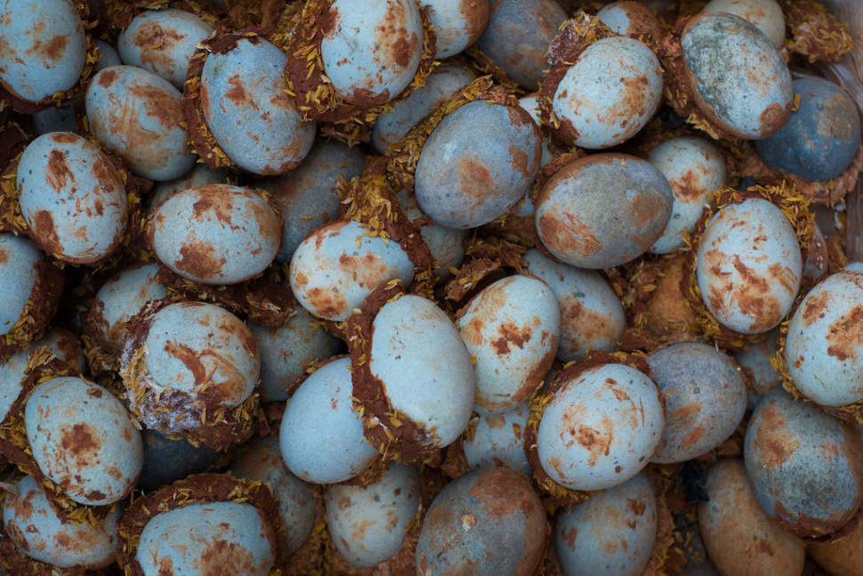 Century Eggs in China - Best Time