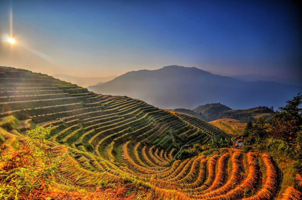 Best time for Longsheng (Longji) Rice Terraces