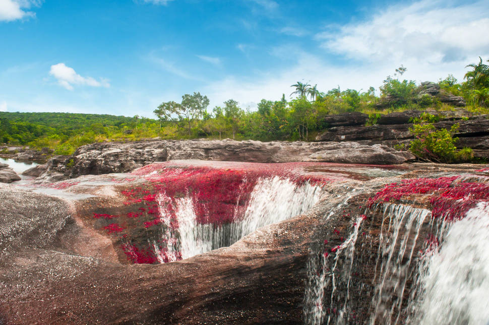 Caño Cristales River in Colombia - Best Season
