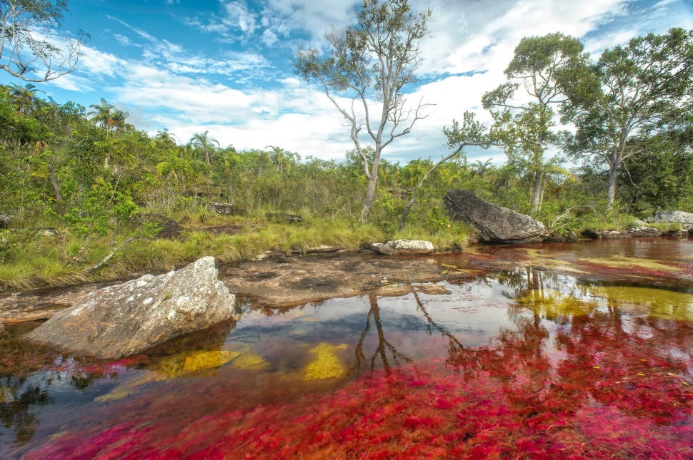 Best time for Caño Cristales River in Colombia
