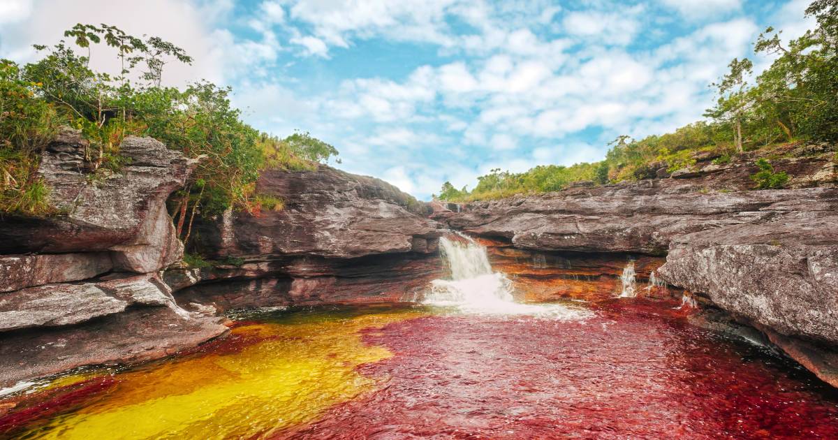 Caño Cristales River in Colombia - Best Time