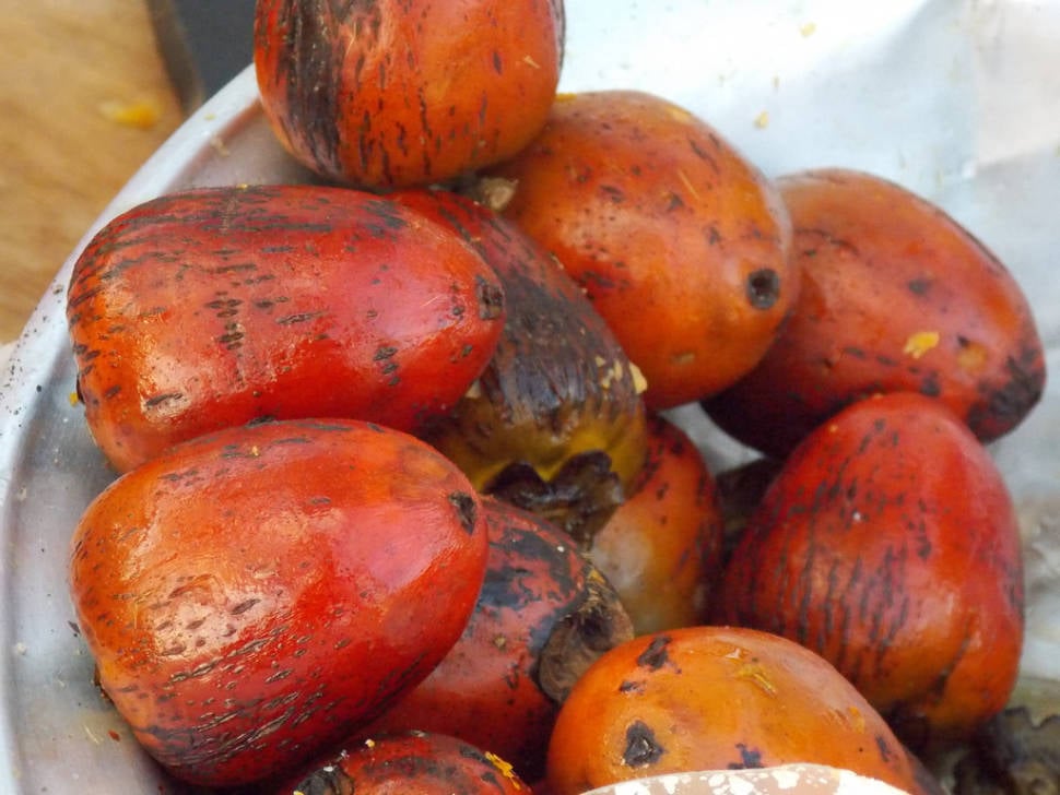 Chontaduro
