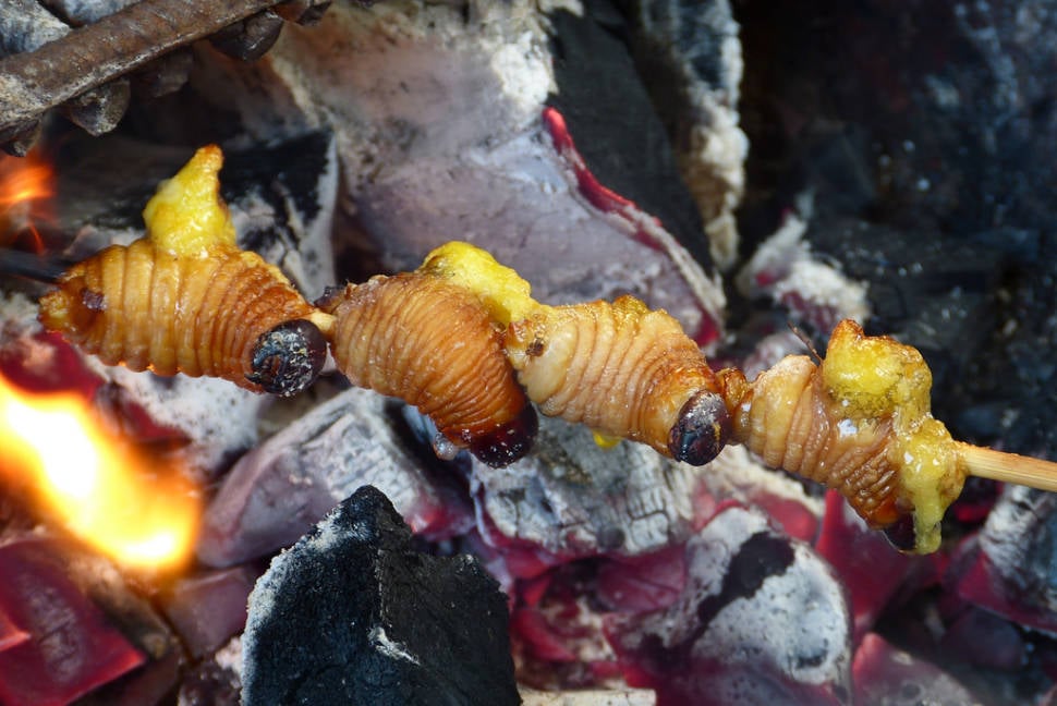 Chontaduro and Mojojoy in Colombia - Best Season