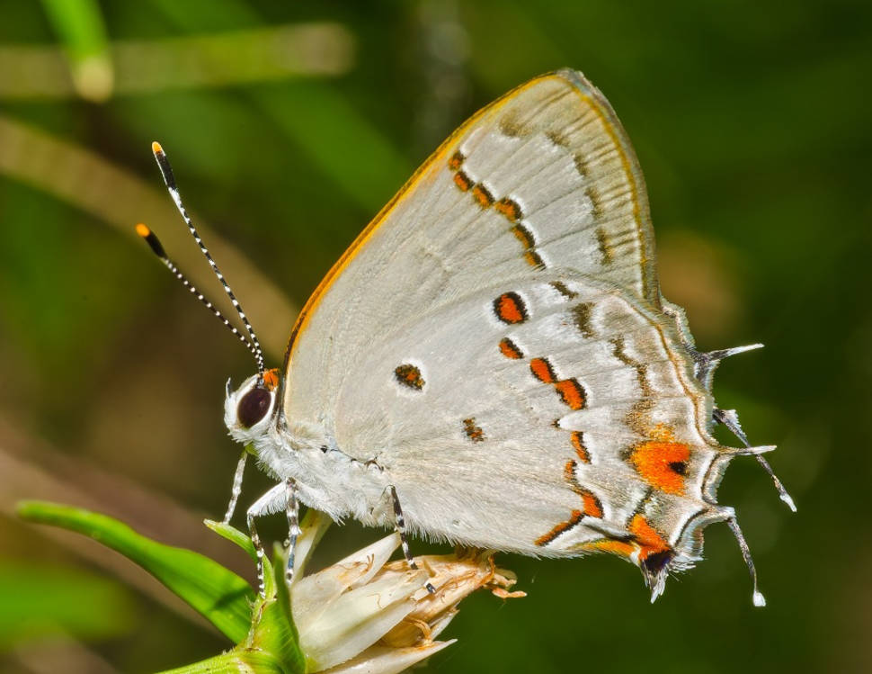 Exploring Amazon in Colombia - Best Season