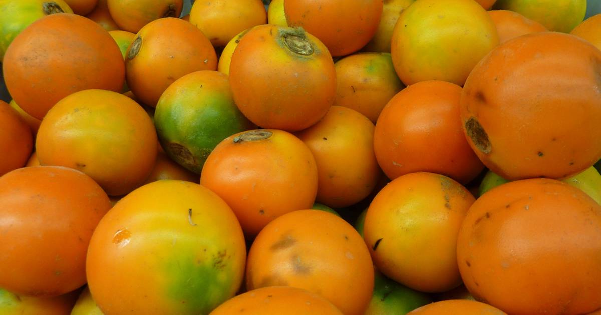 Lulo Fruit in Colombia - Best Time