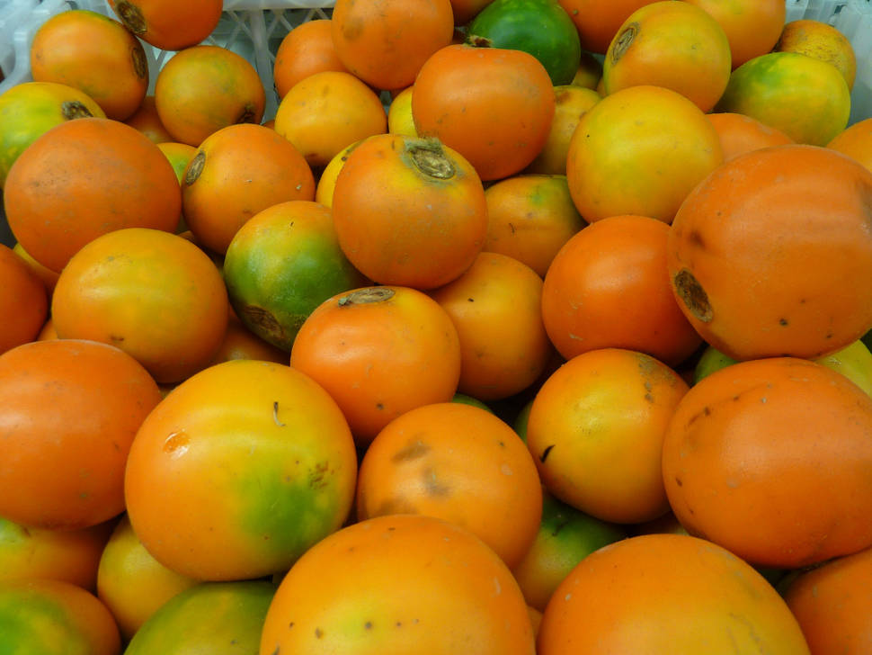 Lulo Fruit in Colombia - Best Time