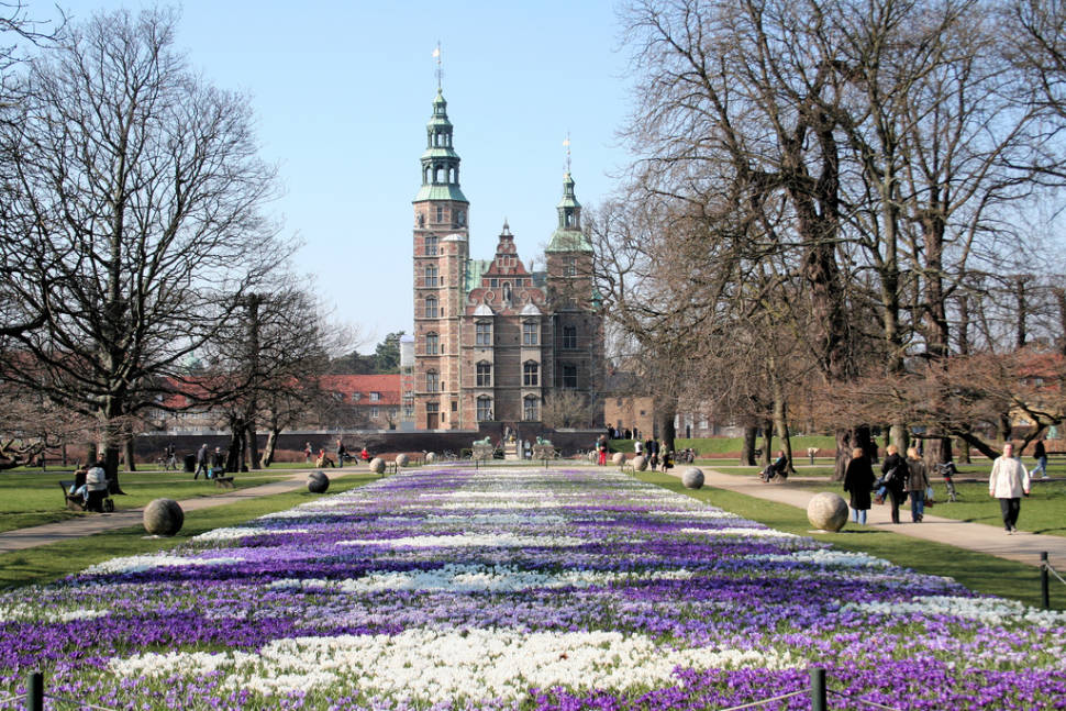 Best time to see Crocus Blooming at Rosenborg Castle in Copenhagen