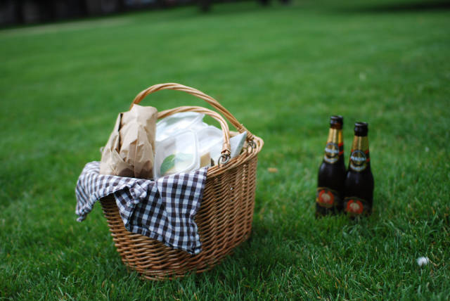 Best time for Picnic in the Kongens Have in Copenhagen