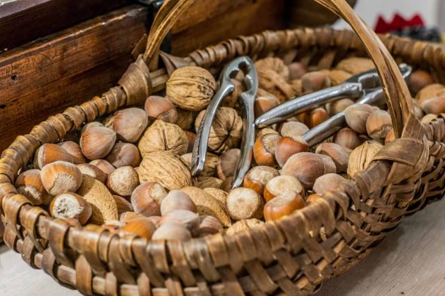 Hazelnut Season in Corsica - Best Season