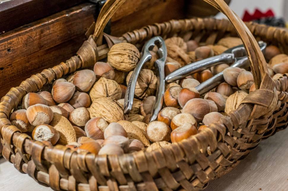 Hazelnut Season in Corsica - Best Season
